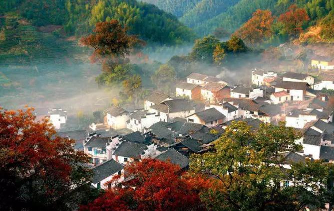 yth游艇会(中国区)官方网站